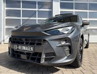 Cupra Terramar VZ 2.0 TSI DSG 4Drive PANO AHK 5J GAR bei Autohaus Landmann & Maier OHG
