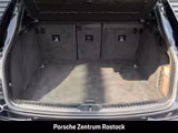 Porsche Macan GTS Burmester Standheizung Surround View - Porsche Macan in Rostock