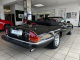 Jaguar XJS 5.3 2- DOOR CONVERTIBLE V12-Zylinder - Jaguar XJS: Cabrio, V12