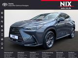 Lexus NX 350h 2.5 Hybrid Executive Tech.-Paket 8-fach  - graue Lexus NX 350h