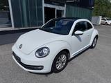 Volkswagen Beetle Lim. Design*PANORAMA*NAVI*PDC*SHZG*TEMPOM - Volkswagen Beetle in Essen
