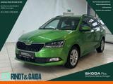 Skoda Fabia Combi Style 1.0 TSI DSG Kamera SHZ LED PDC - Skoda Fabia: Grün