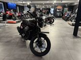 Moto Guzzi V7 IV STONE E5 SPECIAL EDITION - Offers matching your search criteria