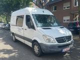 Mercedes-Benz Sprinter II Kasten 209/211/213/215 CDI - Mercedes-Benz Sprinter: 209