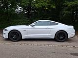 Ford Mustang 5.0 V8 MagneR/original/EU-Fzg/unfallfrei - Ford Mustang Gebrauchtwagen in Stuttgart