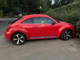 Volkswagen Beetle 1,4 Turbo  160 PS Leder, Vollaussta... - Volkswagen Beetle: Turbo