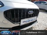 Ford Fiesta Active 1.0 EcoBoost M-Hybrid LED Klimaaut - Ford Fiesta: Silber