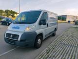 Fiat Ducato - gebrauchte Fiat Ducato aus dem Jahr 2012