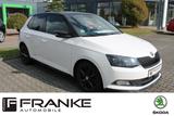 Skoda Fabia R5 Navi Rückfahrkamera Panoramadach - Skoda Fabia: Panoramadach