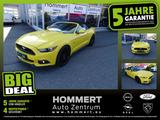 Ford Mustang GT 5.0 V8 Cabrio Convertible *Xenon*Navi - Ford Mustang mit Benzin-Antrieb: Cabrio, 5.0