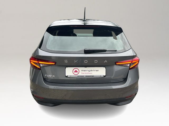 Fabia 1.0 TSI Selection, Winterpaket, Lenkradhei
