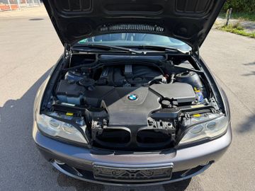 BMW 318 - 4