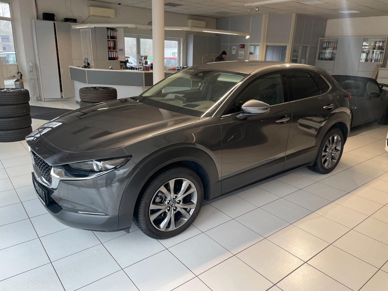 Mazda CX-30 Takumi  Leder Bose Matrix