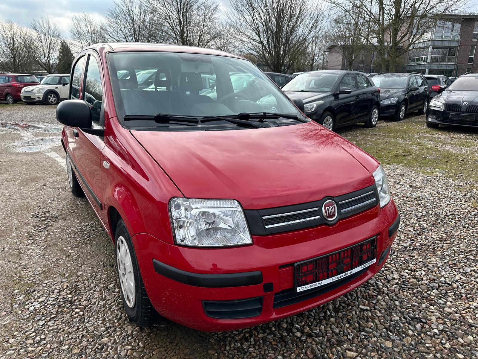 Fiat Panda 1.2 8V MyLive HU/AU Neu 