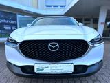 Mazda CX-30  2,0 Ltr. LED Navi Leder 360°-Kamera Euro6 - Mazda CX-30 aus 2019