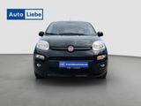 Fiat PANDA LOUNGE 1.2 KLIMA + FREISPRECHEINRICHTUNG - Fiat in Leipzig