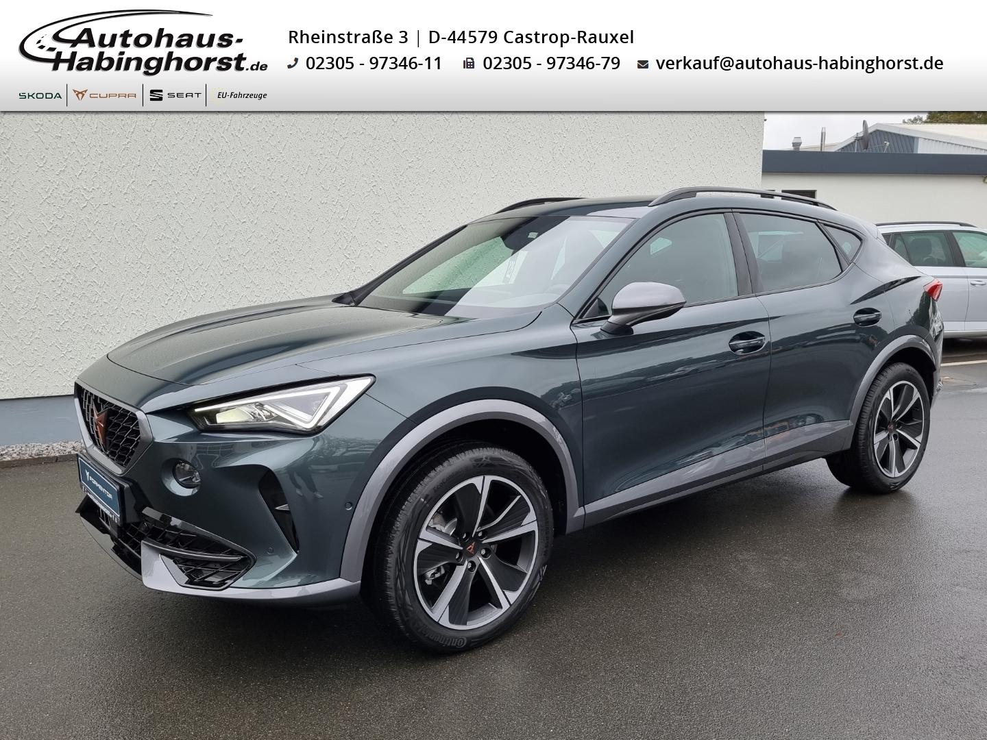 Cupra Formentor 1.5 TSI DSG Pano AHK Navi Beats PDC Ka