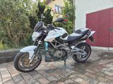 Aprilia Shiver 750 ABS - Offers matching your search criteria