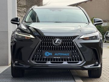 Lexus NX 350h - 4