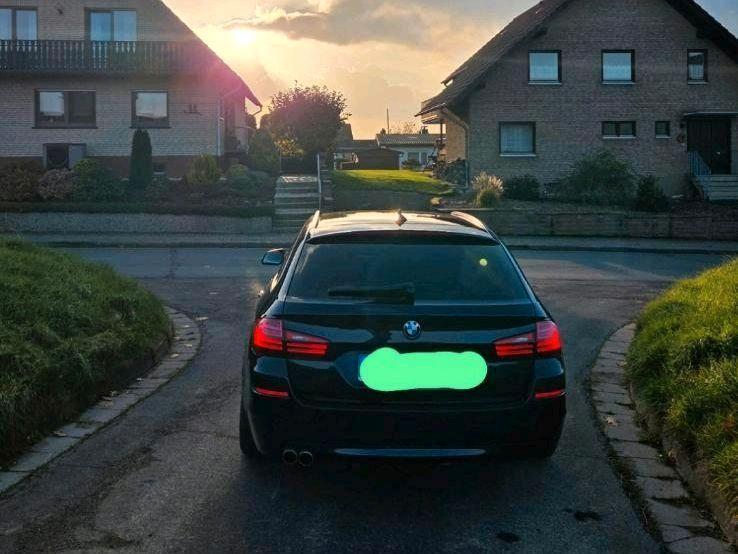 BMW 520 2013 — rear view