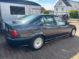 BMW E36 316i M Paket - BMW 316 aus 1993: 316i