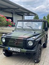 Mercedes-Benz 250 GD Wolf - Mercedes-Benz G-Klasse in Hannover