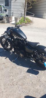 Harley-Davidson Iron XL883N - Angebote entsprechen deinen Suchkriterien