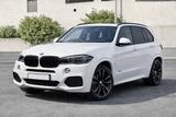 BMW Bmw X5 xDrive40d m sport full 313cv - BMW X5 mit Diesel-Antrieb: Kombi