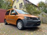 Volkswagen Caddy 1,2TSI 62kW BMT Conceptline 5-Sitzer C... - Volkswagen: Concept