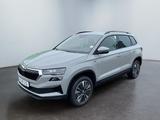 Skoda Karoq Tour 2.0 TDI DSG Matrix-LED Rückfahrkamera - Skoda Karoq in Karlsruhe