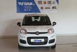 Fiat Panda Pandina Urban 1.0 Hybrid *CityPaket* - Fiat Panda Tageszulassungen