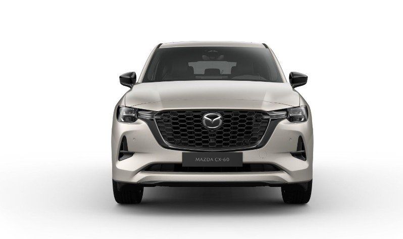 Fahrzeugabbildung Mazda CX-60 3.3d 254PS AWD Homura Plus BLOP