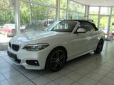 BMW 225 d M Sport, Leder braun, Navi - BMW 2er Reihe mit Diesel-Antrieb: Cabrio