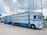 Scania R450 Viehwagen/Retarder/3-Stock/6x2 Lenkachse/E5 - Scania Hamburg