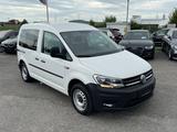 Volkswagen Caddy Nfz Kombi 2.0 TD Behindertengerecht Klima - Volkswagen Caddy: Weiß