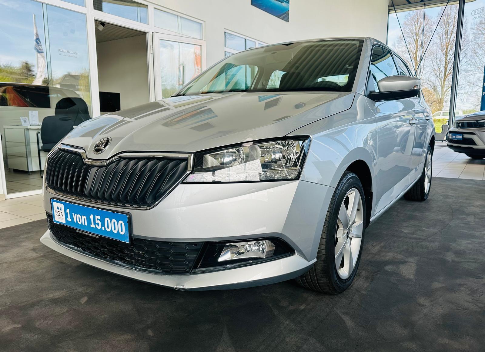 Skoda Fabia 1.0 TSI Cool Plus SHZG Klima PDC HI