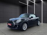 MINI ONE Cabrio 1.Hand - MINI MINI: Cabrio