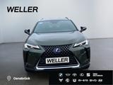Lexus UX 250h Style Edition *Bi-LED*ACC*CAM*SHZ*CarPla - Lexus aus 2021