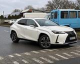 Lexus UX 250h AWD Luxury Line HUD, Schiebedach - Lexus UX: Luxury Line