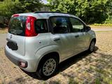 Fiat New Panda 1.2 8V MY PANDA MY PANDA | KLIMA - Fiat New Panda in München