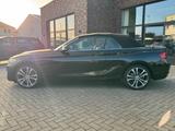 BMW 218 Cabrio Luxury Line *Leder*LED* - BMW 218 mit Benzin-Antrieb: Cabrio, Automatik