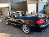 Audi Cabriolet - Audi Cabriolet: Cabrio