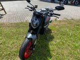 Ducati Monster Neufahrzeug Modell 2024 - DUCATI MONSTER