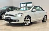 Volkswagen Golf 6 VI Cabriolet 1.6 TDI BMT Highline LED/CAM - Volkswagen Golf mit Diesel-Antrieb: Cabrio, 1.6