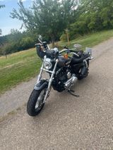 Harley-Davidson Sportster XL 1200 Custom - Offers matching your search criteria