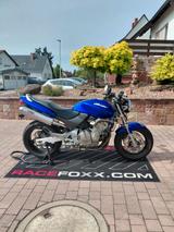 Honda Hornet 600 pc34/frischer service/ CB600F - Honda CB 600 S Hornet