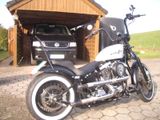 Harley-Davidson Softail Springer - HARLEY-DAVIDSON 1995 SOFTAIL