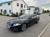 Jaguar XJ Premium Luxury 3.0D V6 BiTurbo C... - Jaguar XJ: C