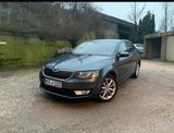 Skoda Octavia 1.2 TSI Green tec Joy Joy - Skoda Octavia mit Benzin-Antrieb: Limousine, 1.2