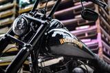 Harley-Davidson Dyna Fat Bob FXDF - Custom Bike - Angebote